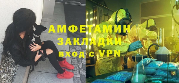 шишки Волосово